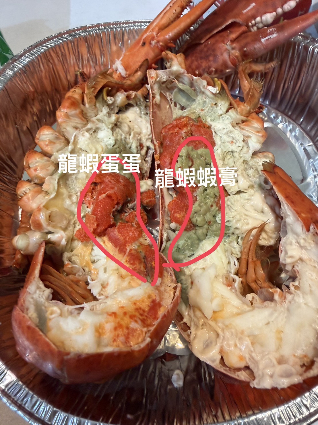 鮮活龍蝦(滿膏爆蛋)